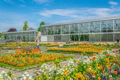 Очень красивый сад в Германии. Бавария Стоковое Изображение - изображение  насчитывающей свеже, напольно: 200977129