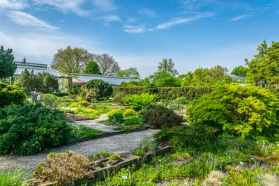 Чудесные сады Херренхаузен в немецком Ганновере - почти Версаль | Смотрим  мир вместе | Дзен