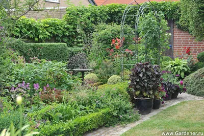Сад семьи Имиг-Герольд в Германии | Ландшафтный дизайн садов и парков |  Garden guide, Garden arch, Backyard