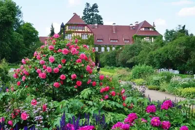 10 самых красивых ботанических садов в Германии, по которым хочется ходить  часами Новости Германии: последние события на русском языке