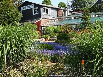 Садово-парковое искусство Германии: история, самые популярные сады