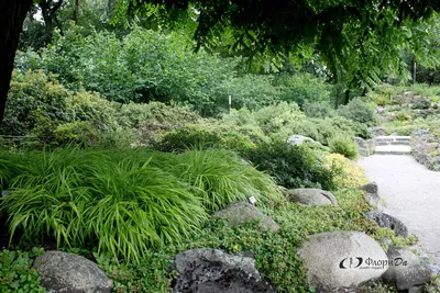 Arboretum Ellerhoop – Thiensen, или садовое шоу на севере Германии