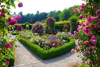 Ещё 5 красивых садов Германии | Сады и цветы | Дзен