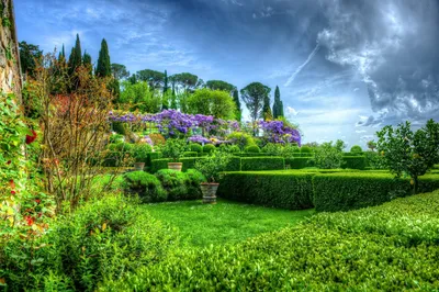 Этрурия в центральной Италии: святой лес, дивный сад и вина из автохтонных  сортов - Travelinsider