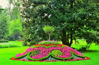 Сады Версаля — Фото №135895