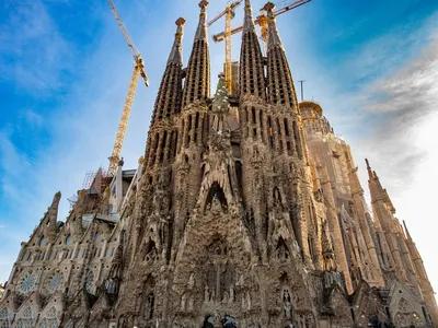 Саграда фамилия в Барселоне (58 фото) | Храм святого семейства, Барселона, Саграда  фамилия