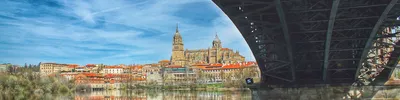 Саламанка Испания Февраля 2022 Года Новый Собор Катедрал Нуэва Один –  Стоковое редакционное фото © EnginKorkmaz #555698784