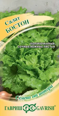 Салат Бостон 150-200 г - купить за 74.00 грн, доставка по Киеву и Украине,  низкая цена | Интернет-рынок продуктов FreshMart