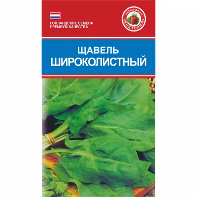 Купить Салат 4 сезона кочанный,красный 0,5 г (б/п) за 4 руб. почтой |  «Сад-Эксперт» – Семена салата (латука)