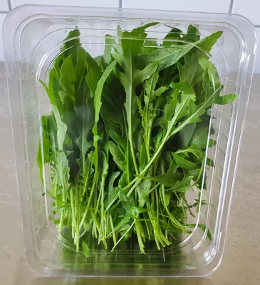 салат латук изолированный лист салата для гурманов Фото Фон И картинка для  бесплатной загрузки - Pngtree
