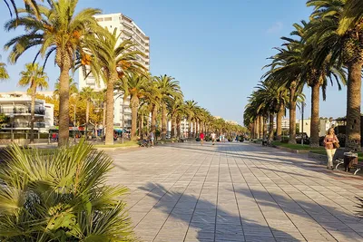 Apartment and Condo Vacation Rentals in Salou | Airbnb