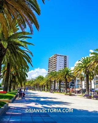 Costa Dorada: Guide to Visiting the Coastline in Salou, Spain — sian  victoria