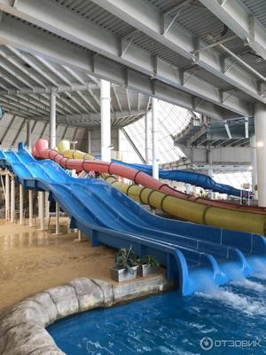 Когда откроется аквапарк в Самаре: что нового будет в комплексе Волжские  термы в 2024 году - 27 декабря 2023 - 63.ру