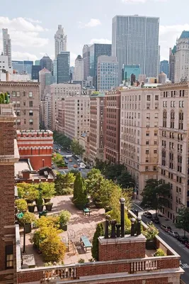 Самые красивые балконы и террасы Нью-Йорка | New york rooftop, Rooftop  garden, Roof garden