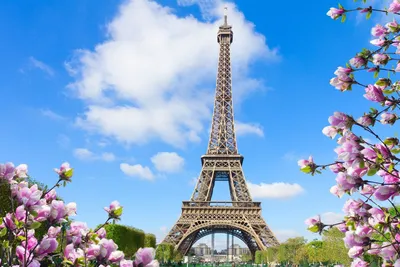 Самые красивые места в Париже: фото городских достопримечательностей с  необычных ракурсов | GQ Россия