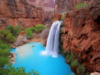 Самые красивые места Америки (Фото) | Havasu falls, Havasu falls arizona,  Waterfall