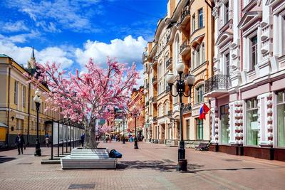 Самые красивые места для фотосессий в Москве в 2024 – смотреть на карте,  фото, расположение мест, лучшие места для фото в Мск