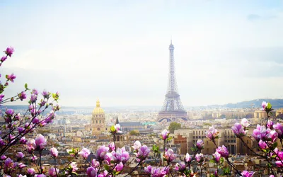 Обои город, париж, весна, европа, франция для рабочего стола #118438