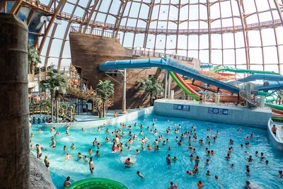 ⭐ 10 больших аквапарков Москвы и Подмосковья с ценами и адресами 🏊 —  рейтинг на сайте «Ква-Ква» парка