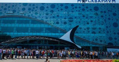 Крупная рыба: как устроен новый океанариум в Москве | Forbes Life