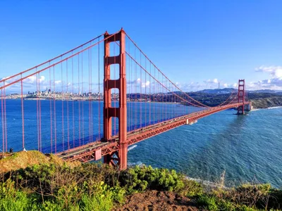 Сан-Франциско: все о городе, интересные места, местная еда, стиль | Smapse  News: Образование и наука | Дзен