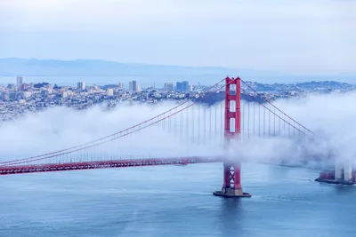 43 Best Things to Do in San Francisco