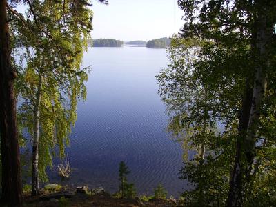 Санаторий «Лесное озеро» в Челябинской области - цены 2024, фото, отзывы