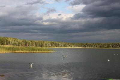 Озеро Подборное и его целебные свойства — Ураловед