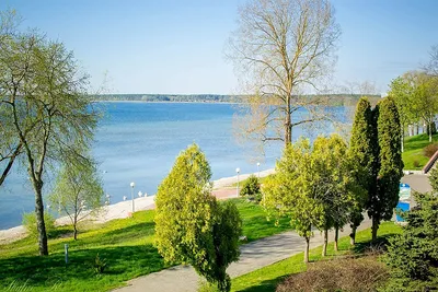 Санаторий КРИНИЦА (Белоруссия) - Цены на 2024 год Официальный сайт Ваш  курорт