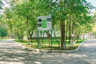 Отдых в Новосибирске и области - санатории, базы отдыха - цены -  Туристско-информационный центр Новосибирской области