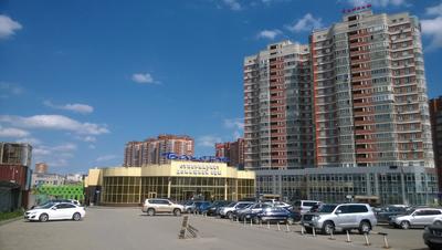 Филиал «Социально-оздоровительный центр «Обские зори» (дачный поселок  Мочище) | Социальные организации Новосибирска
