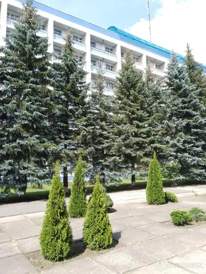 Купить путёвки в санаторий Приднепровский в Беларуси