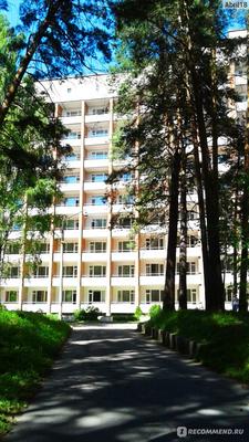В Бердске заброшенный «Речкуновский» санаторий-призрак продают под коттеджи  и гостиницу: Мэрия не давала разрешения на снос