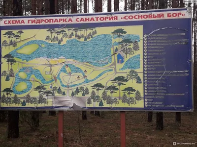 Купить путёвки на лечение в санатории Сосновый Бор в Минской области