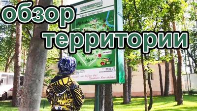 С 1 по 13 ноября санаторий “Циолковский”, на базе которого проводилось XIX  первенство Приволжского федерального округа, стал центром притяжения трех с  лишним сотен юных шахматистов. — МБУ ДО «Центр эстетического воспитания  детей