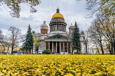 Улица Марата (Санкт-Петербург) — Википедия