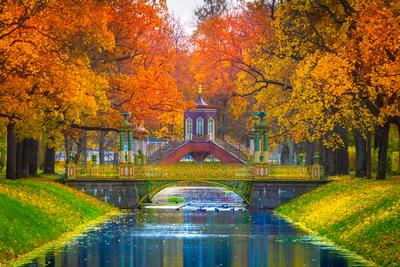 Санкт Петербург Фото Осень