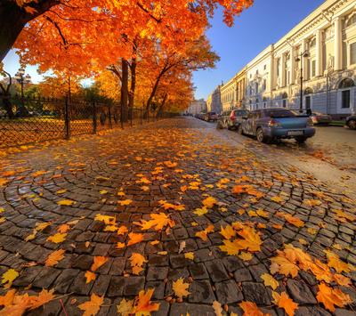 Санкт петербург осенью - 82 фото