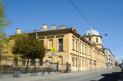 История одного названия. Моховая улица в Санкт-Петербурге