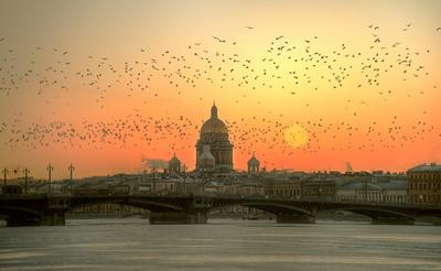 Санкт Петербург by Ed Gordeev