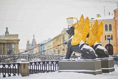 В гостеприимный Санкт-Петербург – всей семьей на выходные | Ассоциация  Туроператоров