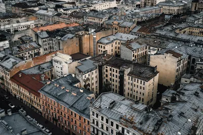 Топ-10 памятников Санкт-Петербурга, которые нужно увидеть