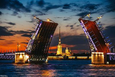 Поездка в Санкт-Петербург на выходные подорожает на 7% летом 2023 года