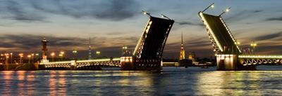 Красивый Питер летом 2021 / дворцовый мост СанктПетербург