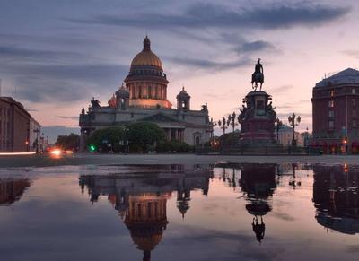 Осень в Санкт-Петербурге 2024 – когда золотая осень, куда сходить, что  посмотреть