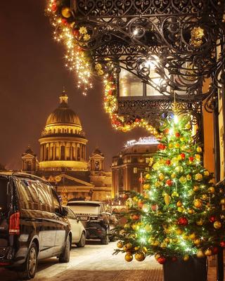 Петербург в Интернете: Новогодний Санкт-Петербург - Лучшие Гиды Санкт- Петербурга
