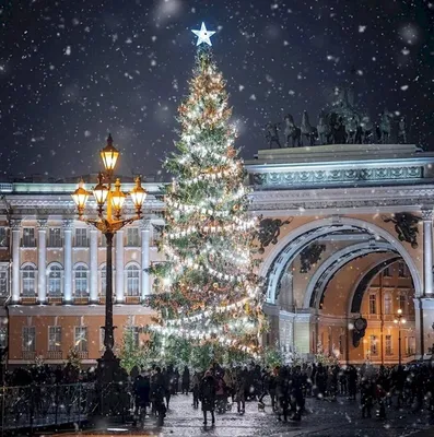 Новогодний Санкт-Петербург 2023-2024 в фотографиях – праздничная  иллюминация | Жизнь и путешествия с Эдуардом Клишиным: Ed Life | Дзен