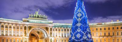 Москва и Санкт-Петербург встречают «новогодние» трамваи | TR.ru — Транспорт  в России