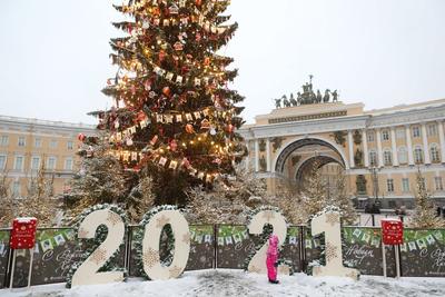 Чем Санкт-Петербург удивит туристов в новогодние праздники - Ведомости.Город