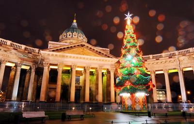 Афиша Санкт-Петербурга на декабрь 2023: 15 новогодних идей куда сходить  всей семьей в Питере | Город Дверей | Дзен